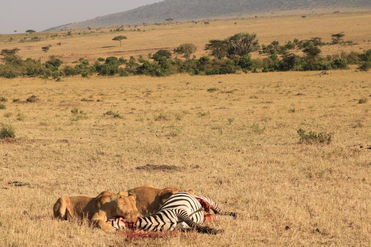 White House Of Tanzania Vandrehjem Arusha Eksteriør billede